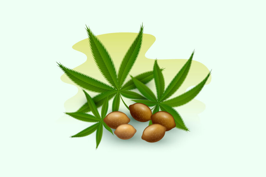 ヘンプシードの効果・効能とは?栄養成分や摂取量、おすすめの食べ方を解説